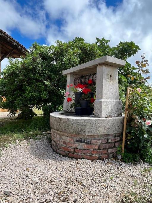 Сasa de vacaciones Les Petits Belezins Saint-Amour (Jura)